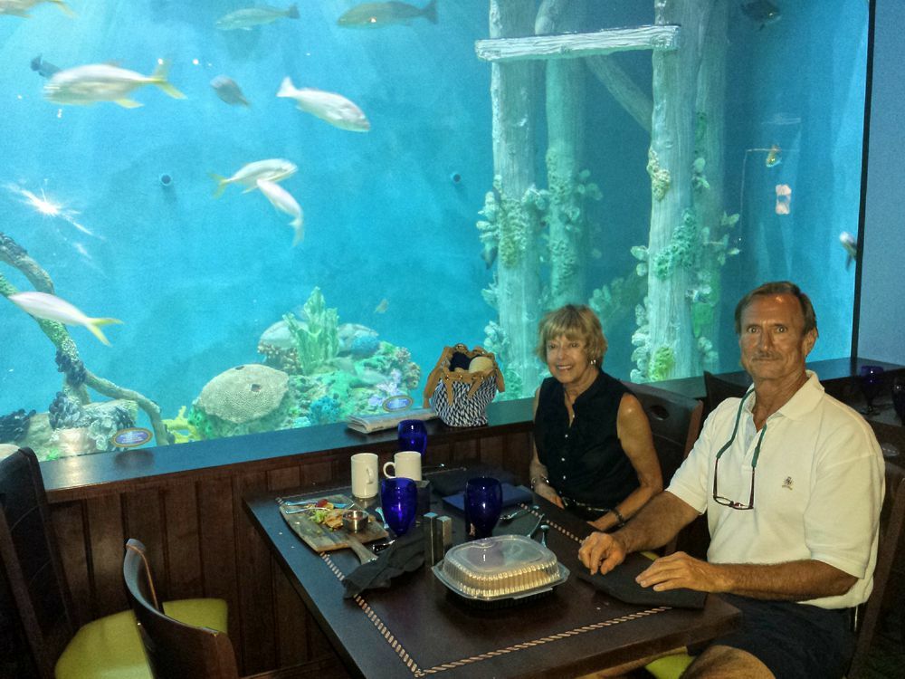 Click to See Next Image